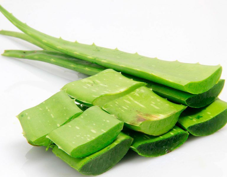 Gel de aloe vera casero