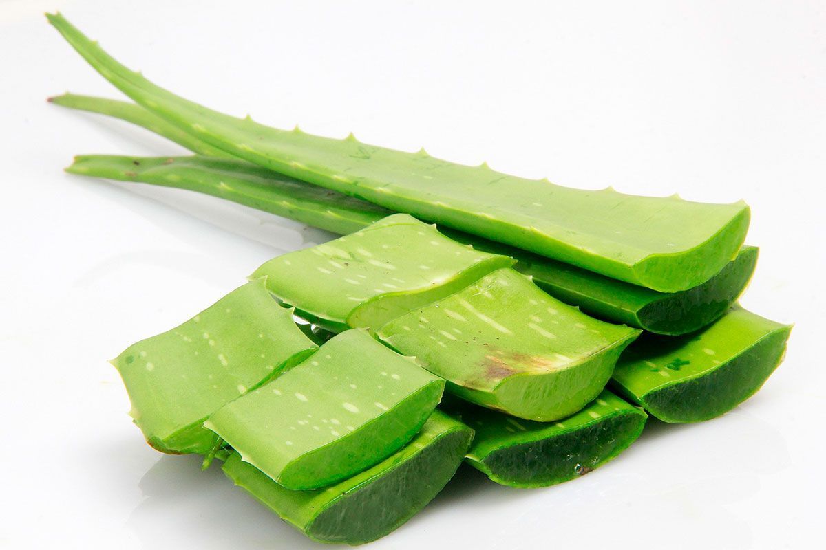 Gel de aloe vera casero