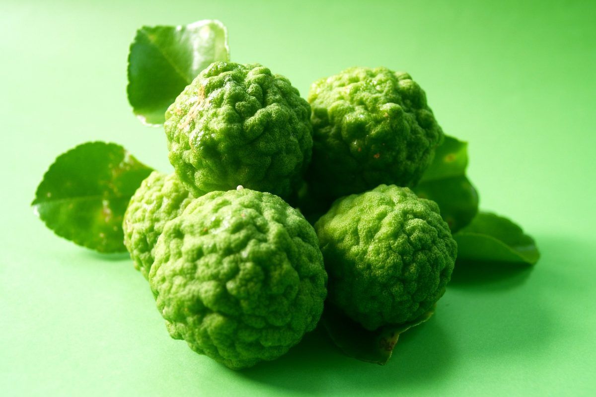 Colonia fresca de bergamota
