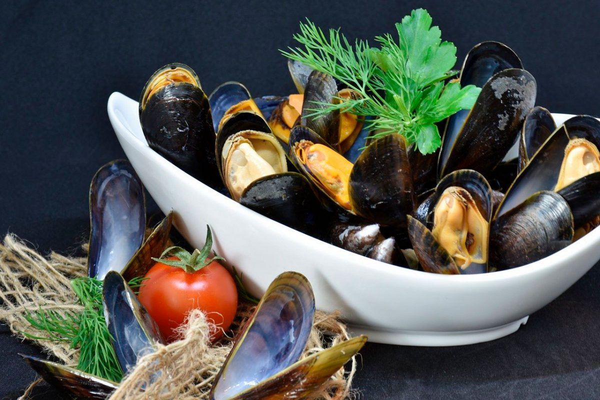 Receta de mejillones con tomate